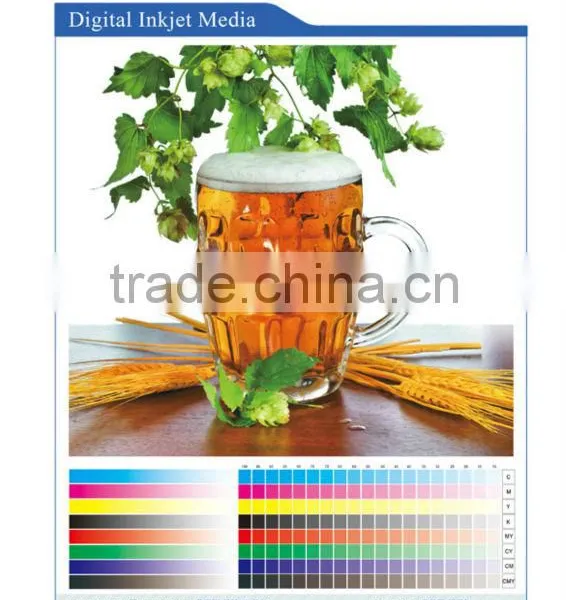 Inkjet Media PET Film/inkjet Media/PP Paper Matte/inkjet Advertisement photo-3