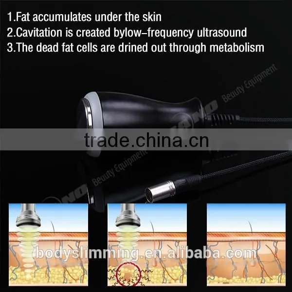 LM-S600H High Quality Cryolipolysis ,Upgrage Cryo+RF+CAV+Laser photo-4