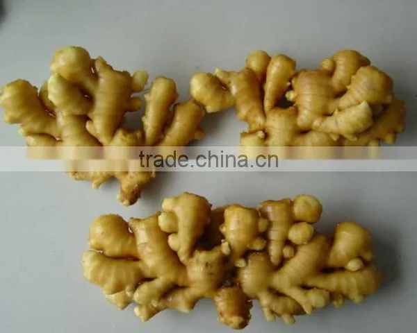 Fresh Ginger