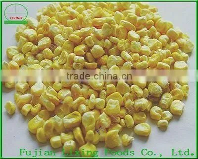 Hot Saled Dried Food FD Corn Powder photo-5
