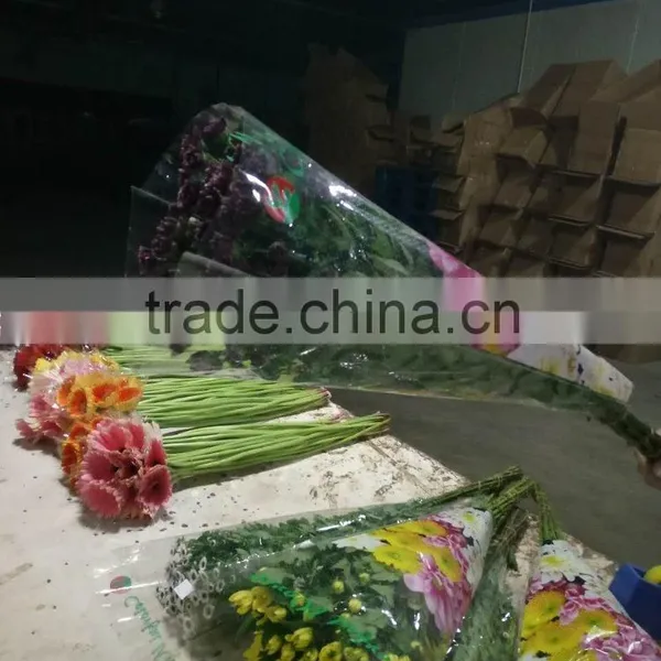 Fresh Cut Flower Gerbera photo-2