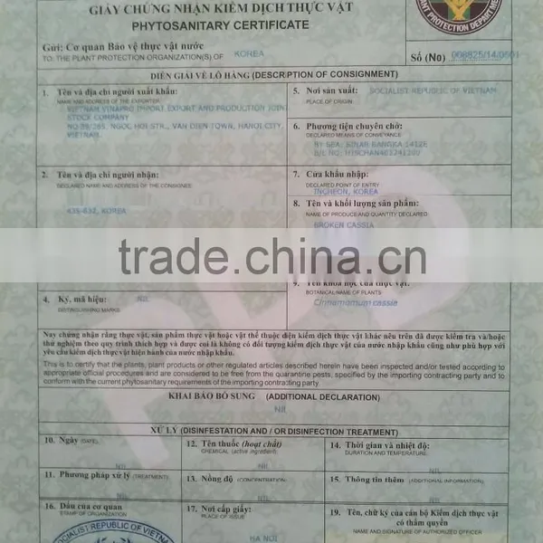 VIETNAM SQUARE CUT CASSIA ( YB1, YB2, YB3, YB4 ) (+841657106604 - WhatsApp) photo-4