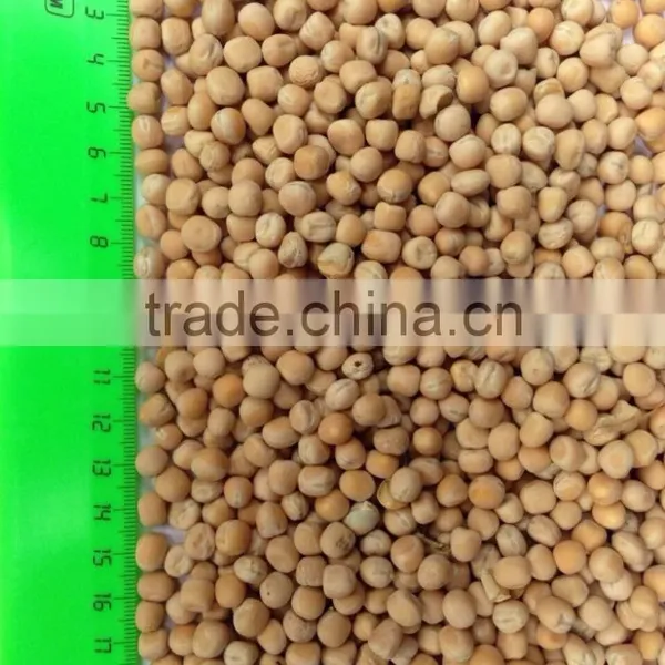 YELLOW PEAS photo-4