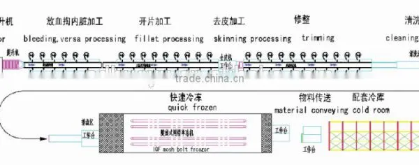 Fish Processing Line