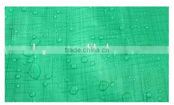 Doyue Tarp , Green pe Tarpaulin for Truck Cover , Building Cover and Garden Shed photo-3