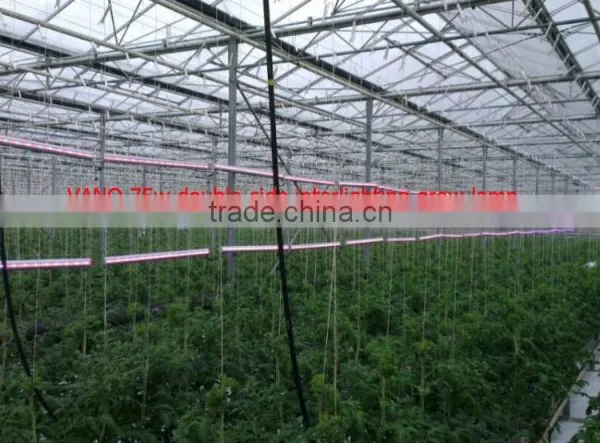 2017 Distributor Price Grow Light for Greenhouse 150w for Interlighting Cucumber/Tomatoes photo-2