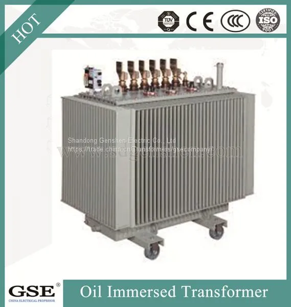 Power Transformer/Oil Immersed Power Distribution Transformer/800kVA Transformer photo-2