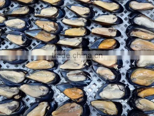 IQF Half Shell Blue Mussel photo-2