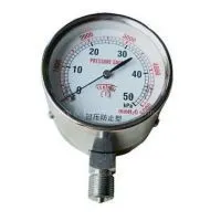 Radial Direction Pressure Gauge