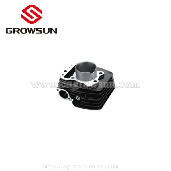 PULSAR 135 Motorcycle Parts of Cylinder Block