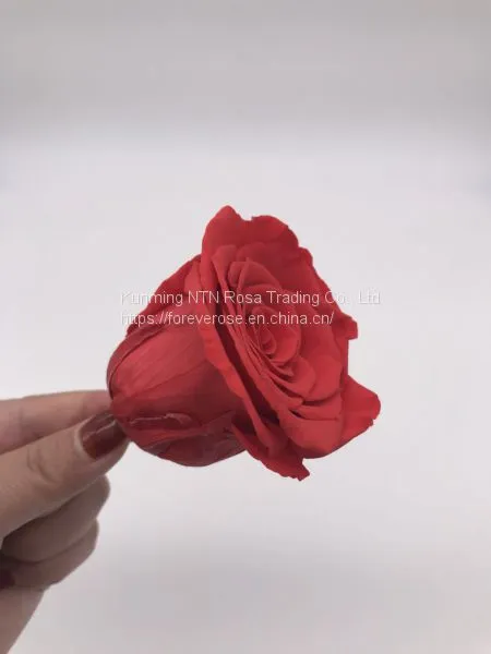 Preserved Flowers Wedding Bridal Bouquets Natural Eternal Roses photo-2