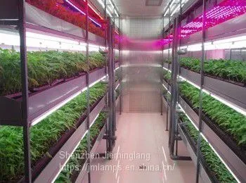 135W LED Glow Light Red White 8:1 AC85-265V JML-GL-45*3W photo-5