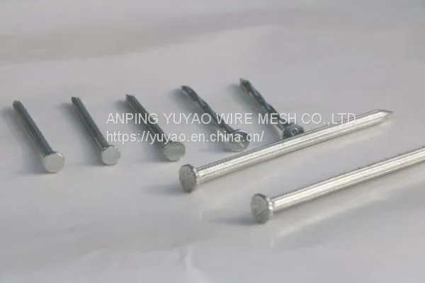 High Quality Cement Stainless Steel Building Nails for Construction