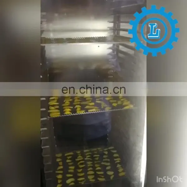 Professional Oven Bread Cookies Biscuit Baking Oven Rotary Baking Oven With Good Price