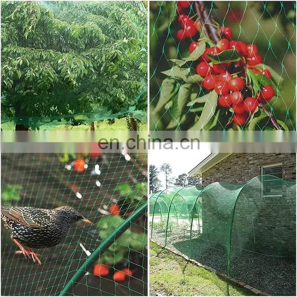 Agriculture HDPE Customized Anti Bird Net Garden Greenhouse Horticulture Plant Protection Cover Weaved photo-3