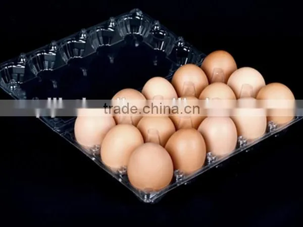 Wholesale Clear Plastic Clamshell Egg Tray Box Packaging of 15 Holes/cavities photo-2