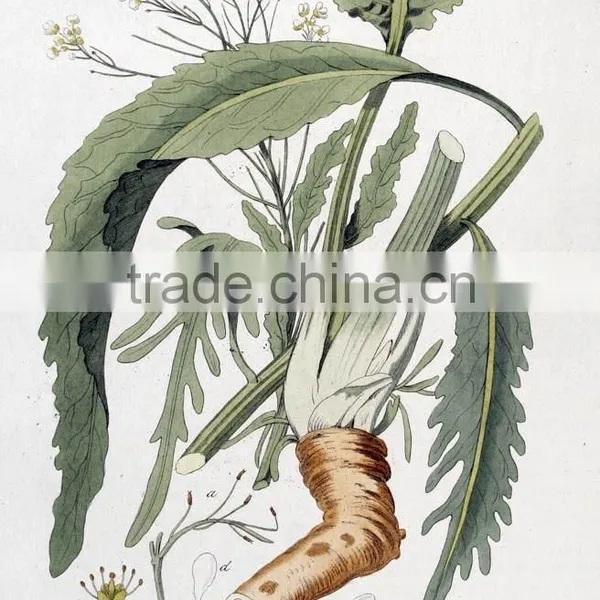 Seasoning Wasabi Powder photo-4
