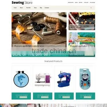 Professional Web Development photo-6