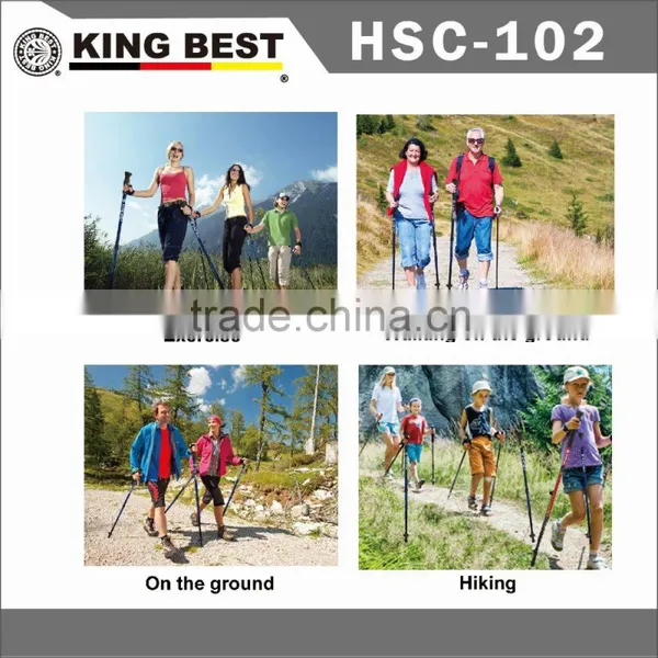 KING BEST Wholesale Carbon Trekking Pole 2-SECTION Hiking Pole Nordic Walking Stick photo-6