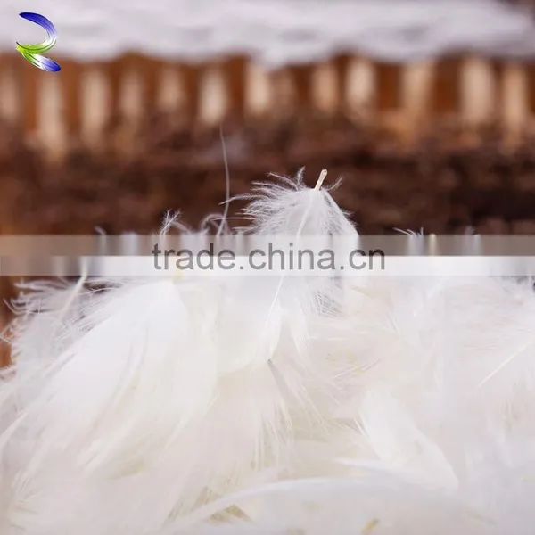 5 Star Hotel Used Washed White Goose Feather for Wholesale photo-4