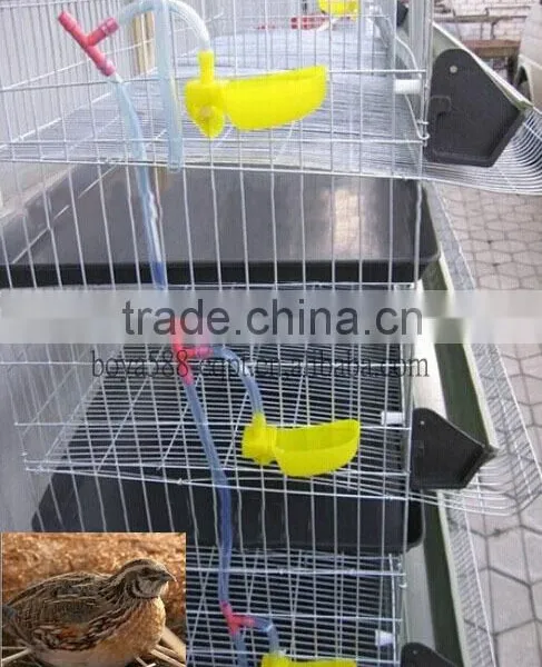 Galvanized Quail Cage With Plastic Drinker