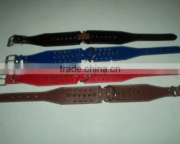 High Quality Pet Belt