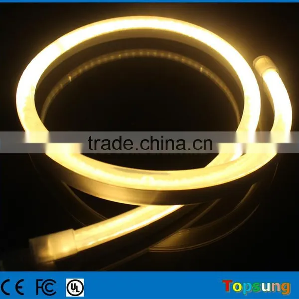 Popular Transparent Warm White Waterproof Ip66 Led Neon Lights Low Voltage photo-3