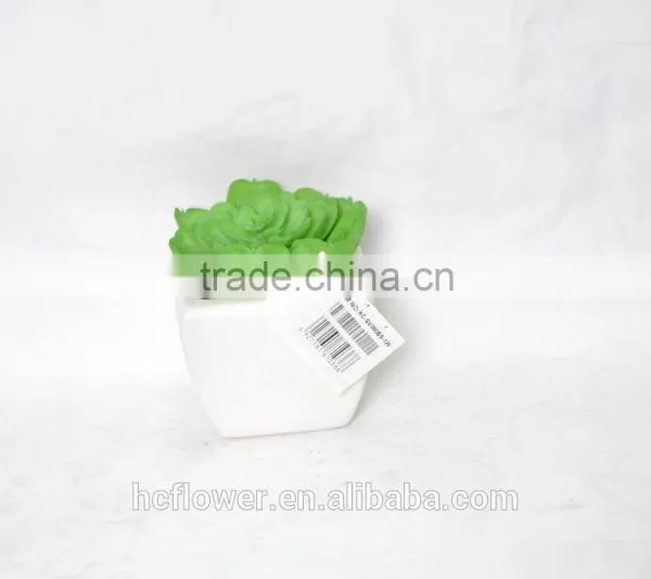 Artificial Succulent Plants With Plastic Pot for Indoor Decoration