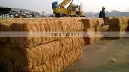 Coconut Fiber - QQ : 2598494113 photo-3