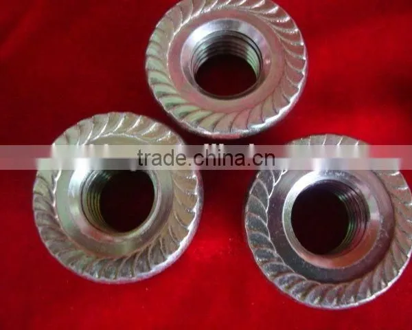 Carbon Steel Flange Nut photo-4