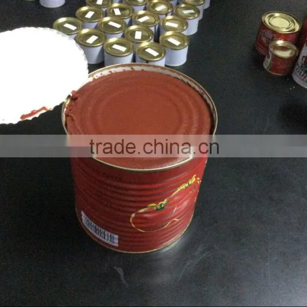 All Kinds of Canned Tomato Paste Sale photo-3