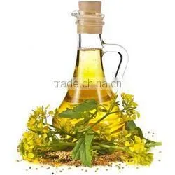 100% Natural Ajowan Oil From India