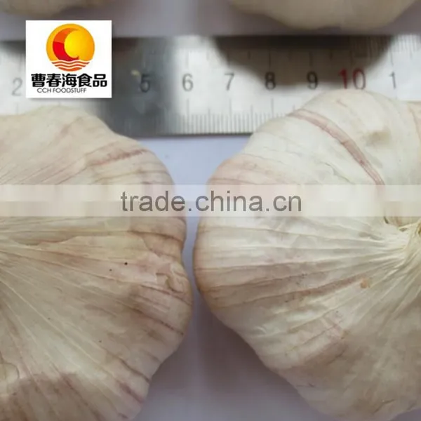 Chinese Exported Air Dried Normal White Garlic photo-2