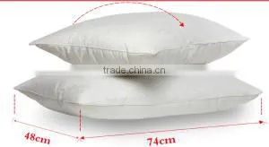 Double Type Duck Down Feather Pillow