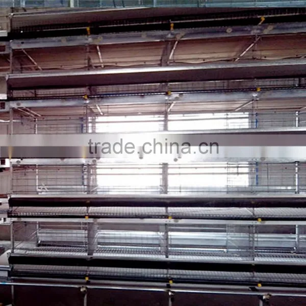 Layer Quail Cage for Sale & Layer Quail Cage for Poultry Farm Equipment photo-5