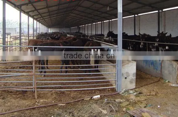 Hot Dip Galvanized Sheep Fence Panel photo-2