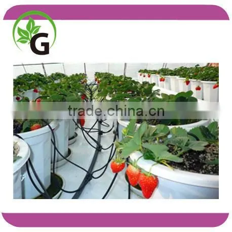 irrigation arrow dripper for pot plants irrigation drip spider