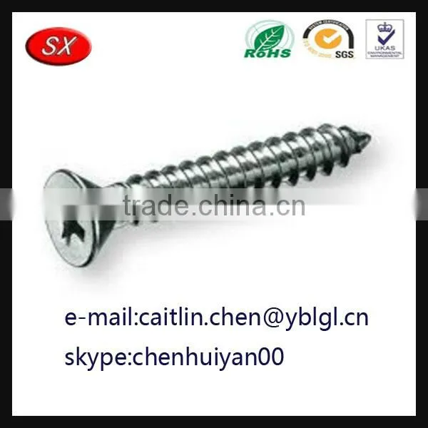 Gunagdong Province Stainless Steel Galvanized Pan Head Screw photo-3
