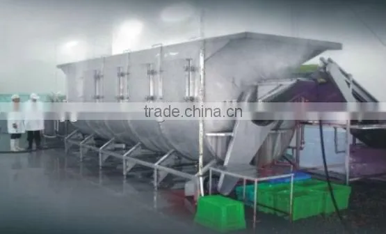 China Vegetable Automatic Blanching Machine photo-5