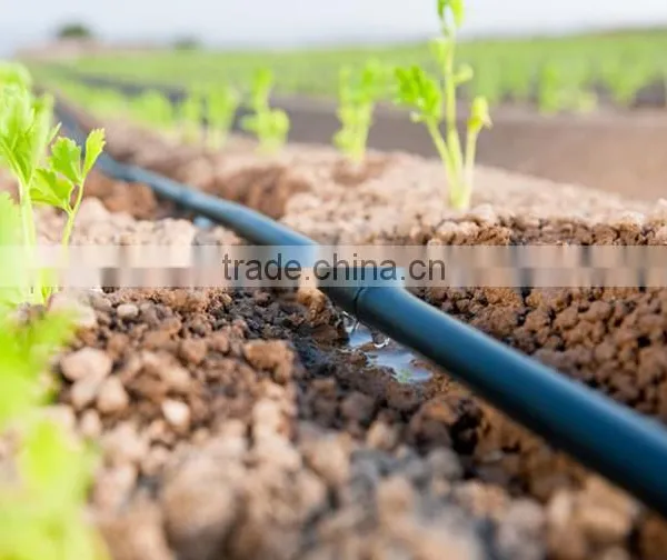 Agricultural Watering Equipment Plastic Drip Irrigation Pipe With Low Pressure photo-3