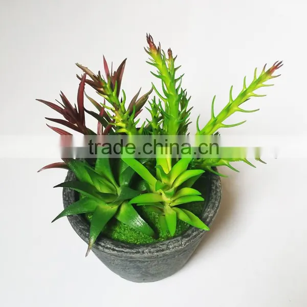 Small Artificial Succulent Plants for Indoor Shopping Mall Decoration photo-5