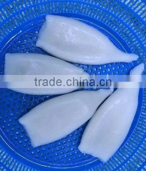 Frozen Squid Tube U10 photo-2