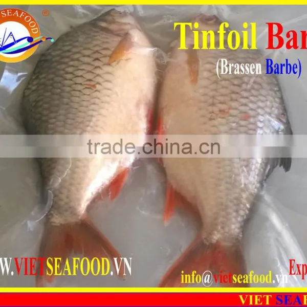 FROZEN W/R RED TAIL TINFOIL BARB