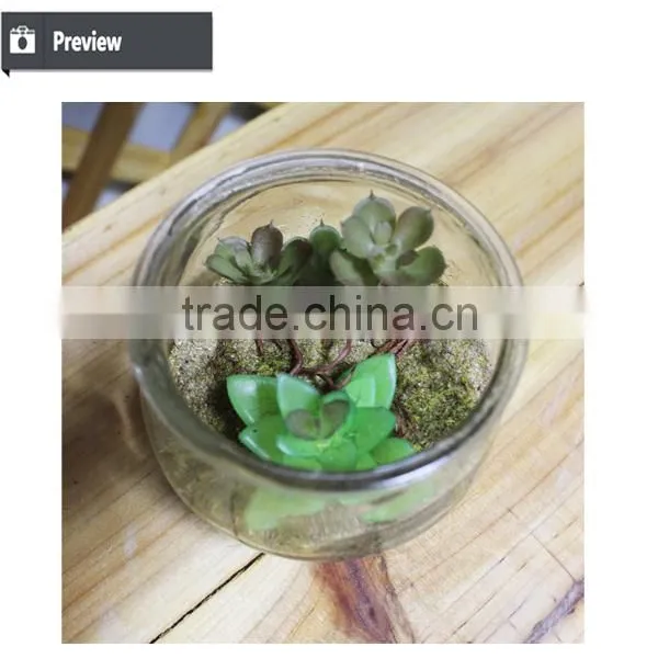 Artificial Table Decoration Small Plants Preserved Plant for Office Decoration Artificial Mini Bonsai Decoration photo-2