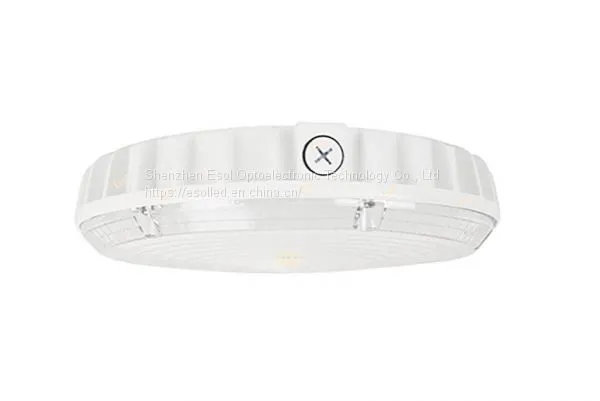 Led Canopy Light
