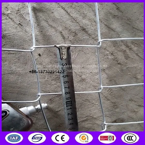 Hot Dipped Galvanized 2.9mmx8cm Hole X1.5m Height Chain Link Fence for Korea Market Made in China