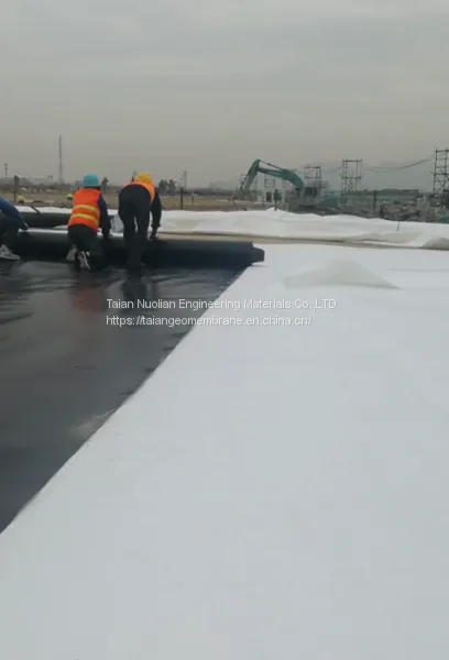 Hdpe Geomembrane Pond Liner Anti-UV Waterproof Material Geomembrane Liner photo-4