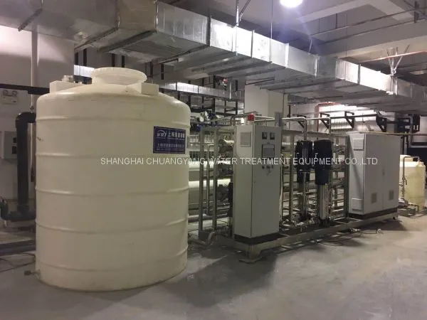 Purified Water Distribution Loop System for Pharma Company photo-2