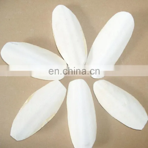 Small Cuttlebone Animal Feed Body Part Vitamins NATURE Bag Packaging Natural White Dried Cuttlefish Bone