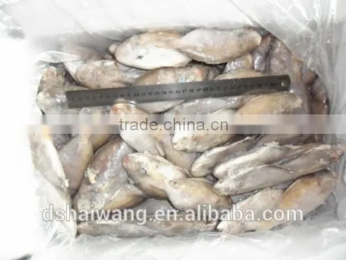 Frozen Butterfish in Fresh Seafood POMPANO